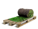 Rouleaux de gazon